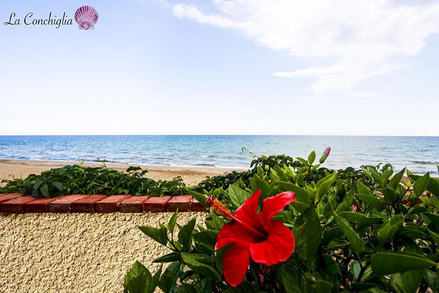 Casa La Conchiglia Sulla Holiday home